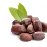 Jojoba Oil