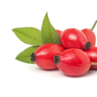 Rosehip Oil